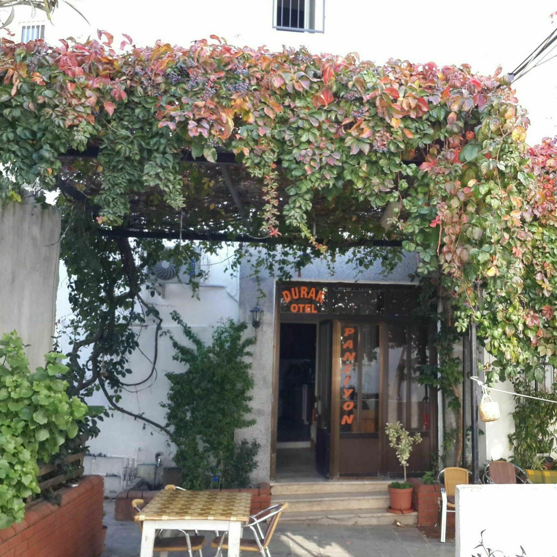 Durak Hotel Bodrum Exteriér fotografie